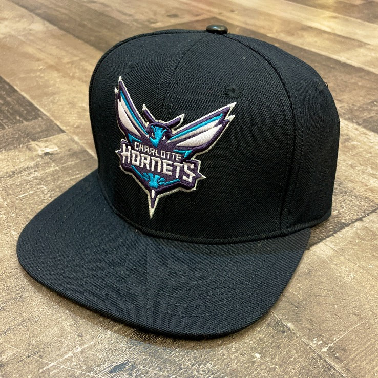 Pro Max- charlotte hornets snapback hat