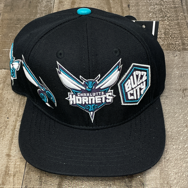 Pro max- Charlotte Hornets snapback